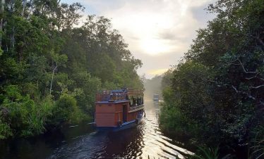 < CENTRAL KALIMANTAN > LIVE ABOARD IN TANJUNG PUTING NATIONAL PARK