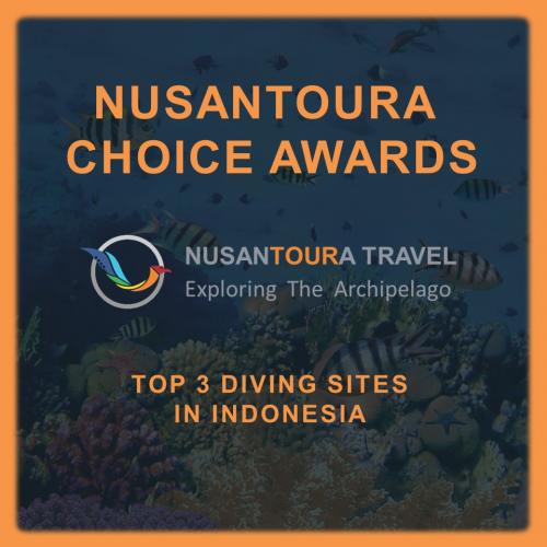- Nusantoura Choice Awards - Top 3 Diving Sites In Indonesia